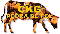 CKG Pedra de Fel